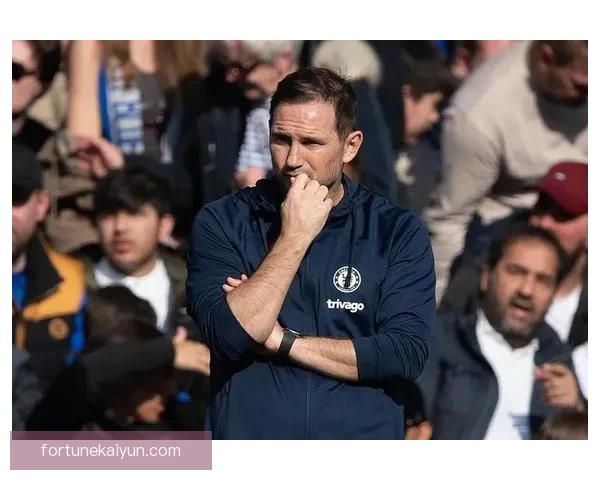 西布朗球迷热情不减，主场氛围助力球队稳步提升全新赛季挑战