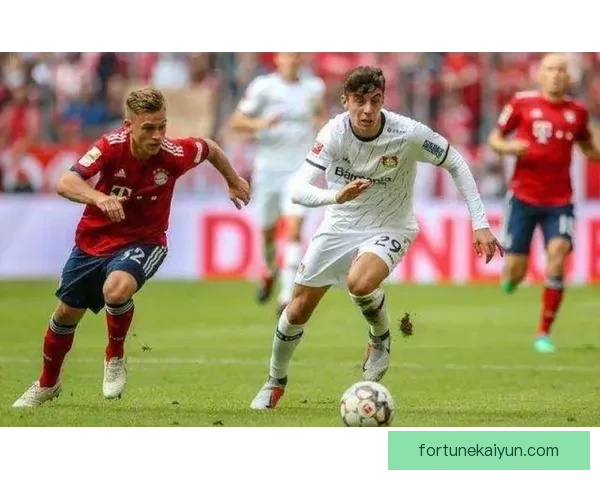 维罗纳进攻套路分析：战术特色与效果评估